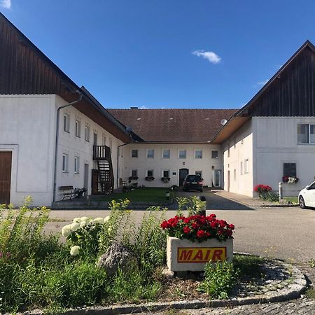 Babsi Appartments - Leben Am Land Wels Extérieur photo