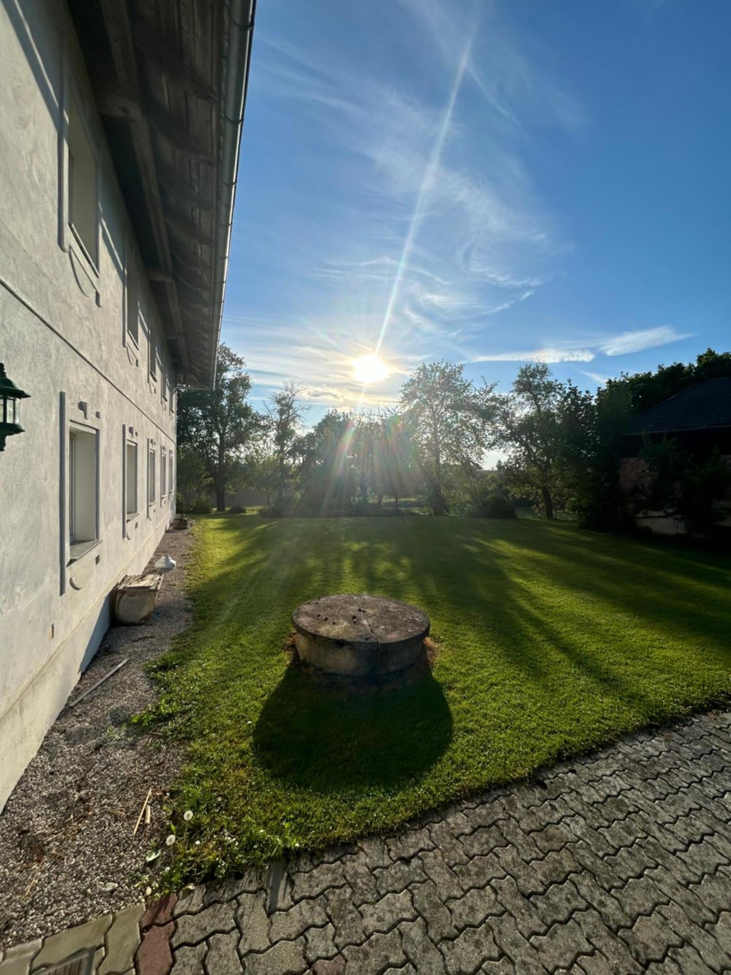 Babsi Appartments - Leben Am Land Wels Extérieur photo